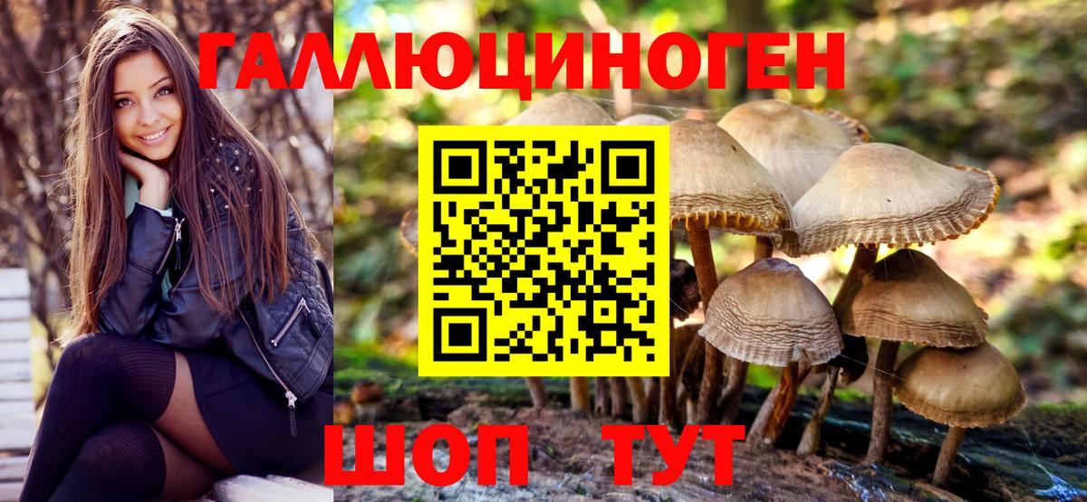 Галлюциногенные грибы MAGIC MUSHROOMS Новоалександровск